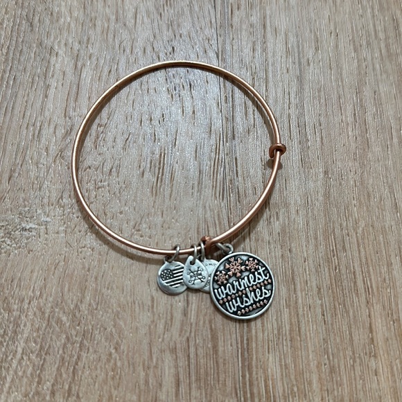 ALEX AND ANI | Bundle of Winter Charm Bracelets - Picture 2 of 5